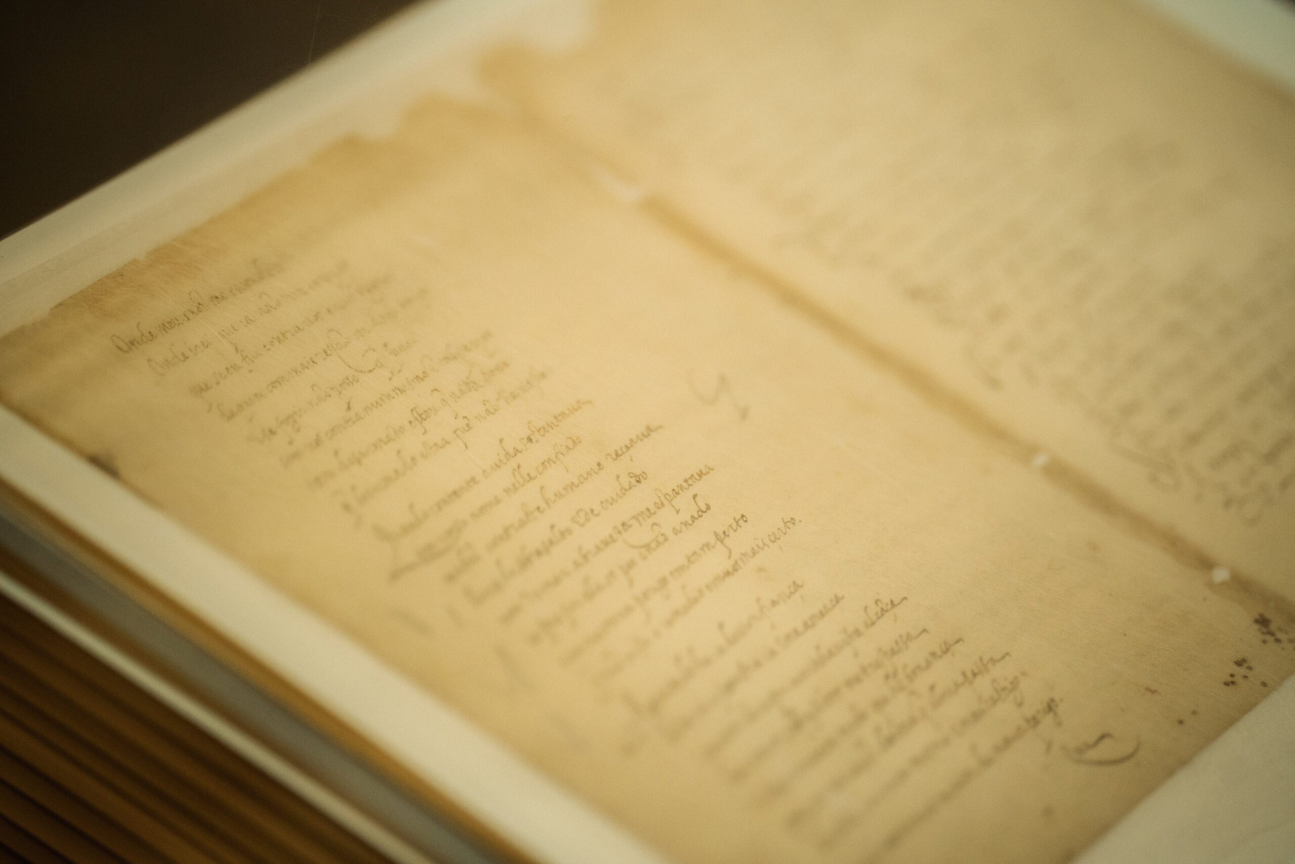 Apresentação das Comemorações dos 500 anos de Camões 2026